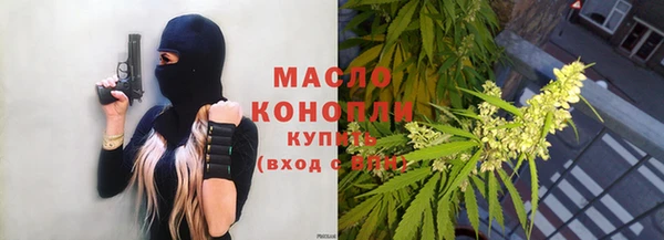 индика Бронницы