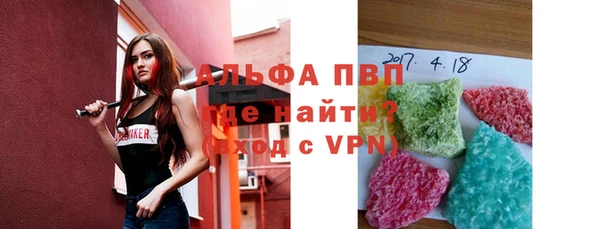 индика Бородино