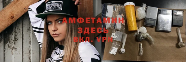 индика Бородино