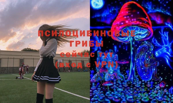индика Верхнеуральск