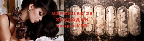 индика Бородино