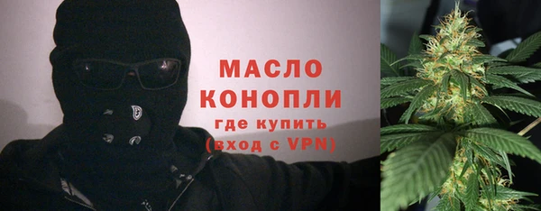 индика Бородино