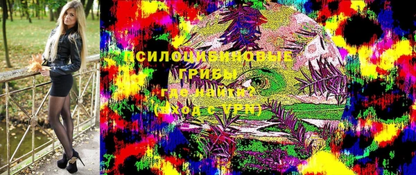 индика Бронницы