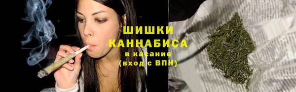 индика Бронницы