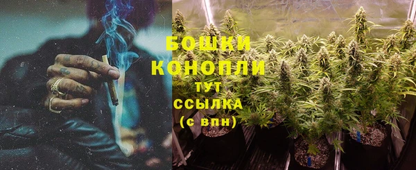 индика Бородино
