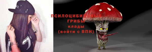 индика Бородино