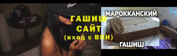 индика Бородино