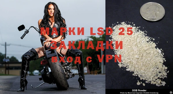 индика Бородино