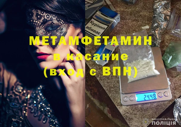 индика Бородино