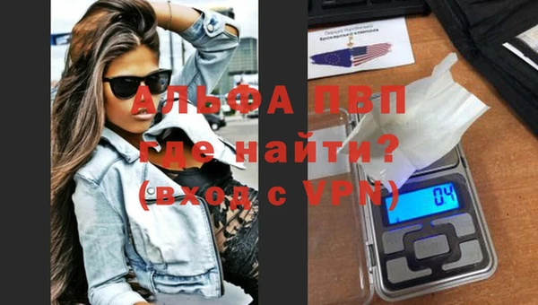 индика Бородино