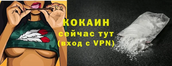 индика Бородино