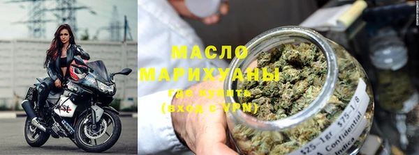 индика Бородино