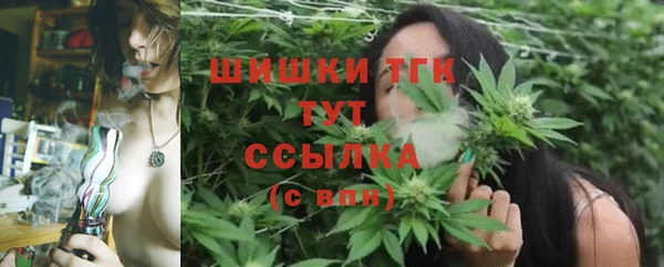 индика Бронницы