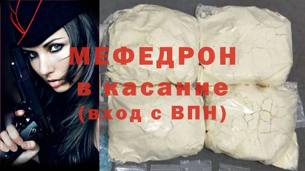 индика Бородино