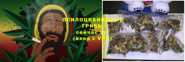 индика Бронницы