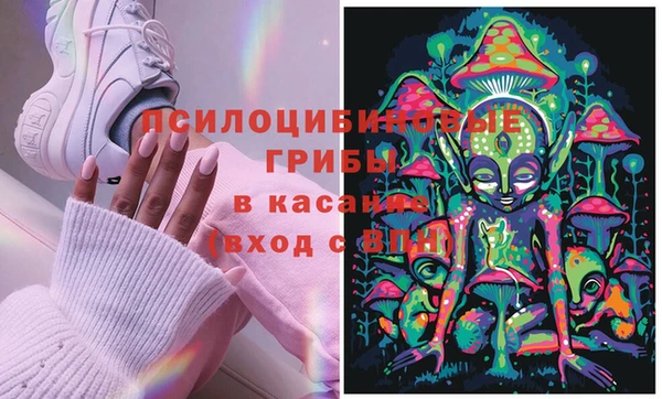 индика Бронницы