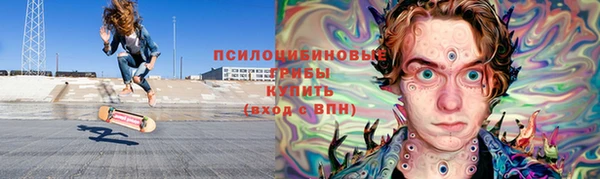 индика Бронницы